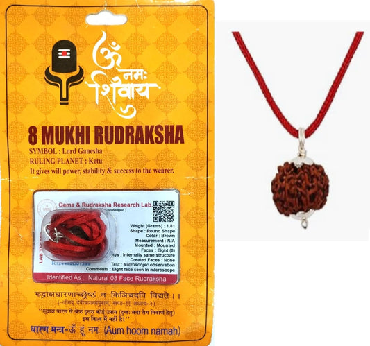 HaridwarDivine 8 Mukhi Rudraksha with Silver Pandent 8 Faces Rudraksha with Original Cerified with in Brown Colur