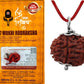 Haridwar Divine Brown Colour Seven Mukhi Rudraksha Certified/Original Nepali 7 Mukhi Rudraksh/Natural 7 Faced Rudraksha with Silver Pendent