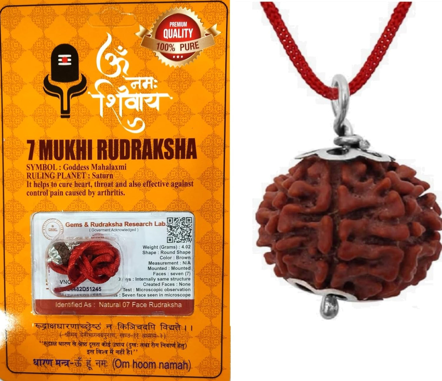 Haridwar Divine Brown Colour Seven Mukhi Rudraksha Certified/Original Nepali 7 Mukhi Rudraksh/Natural 7 Faced Rudraksha with Silver Pendent