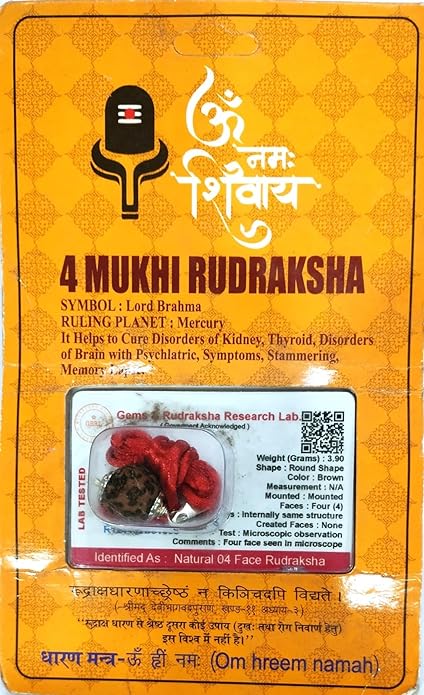 HaridwarDivine  Brown 4 Mukhi Nepali Rudraksha card Four Face Mantra Siddha Rudraksh Certified with Lab Report