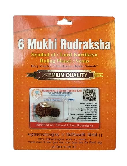 HaridwarDivine 6 Mukhi Rudraksha Pendant Six Faced Nepali Rudraksh Bead Pendant Original & Certified Pendant for men and women