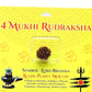 HaridwarDivine 4 Mukhi Rudraksha Nepali Rudraksh Bead Original & Certified Rudraksha for Men and Women, Color Brown, Origin Nepal