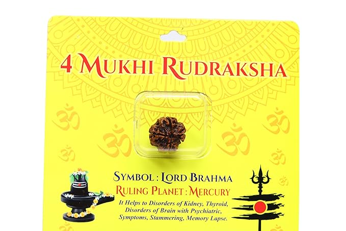 HaridwarDivine 4 Mukhi Rudraksha Nepali Rudraksh Bead Original & Certified Rudraksha for Men and Women, Color Brown, Origin Nepal