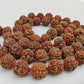 5Mukhi 11mm-13mm  54 Beads Rudraksha Mala Power of Lord Shiva Natural Brown Rudraksha Beads