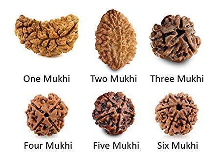 Natural Brown Real Rudraksha Beads